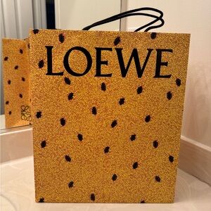 LOEWE - Box and bag